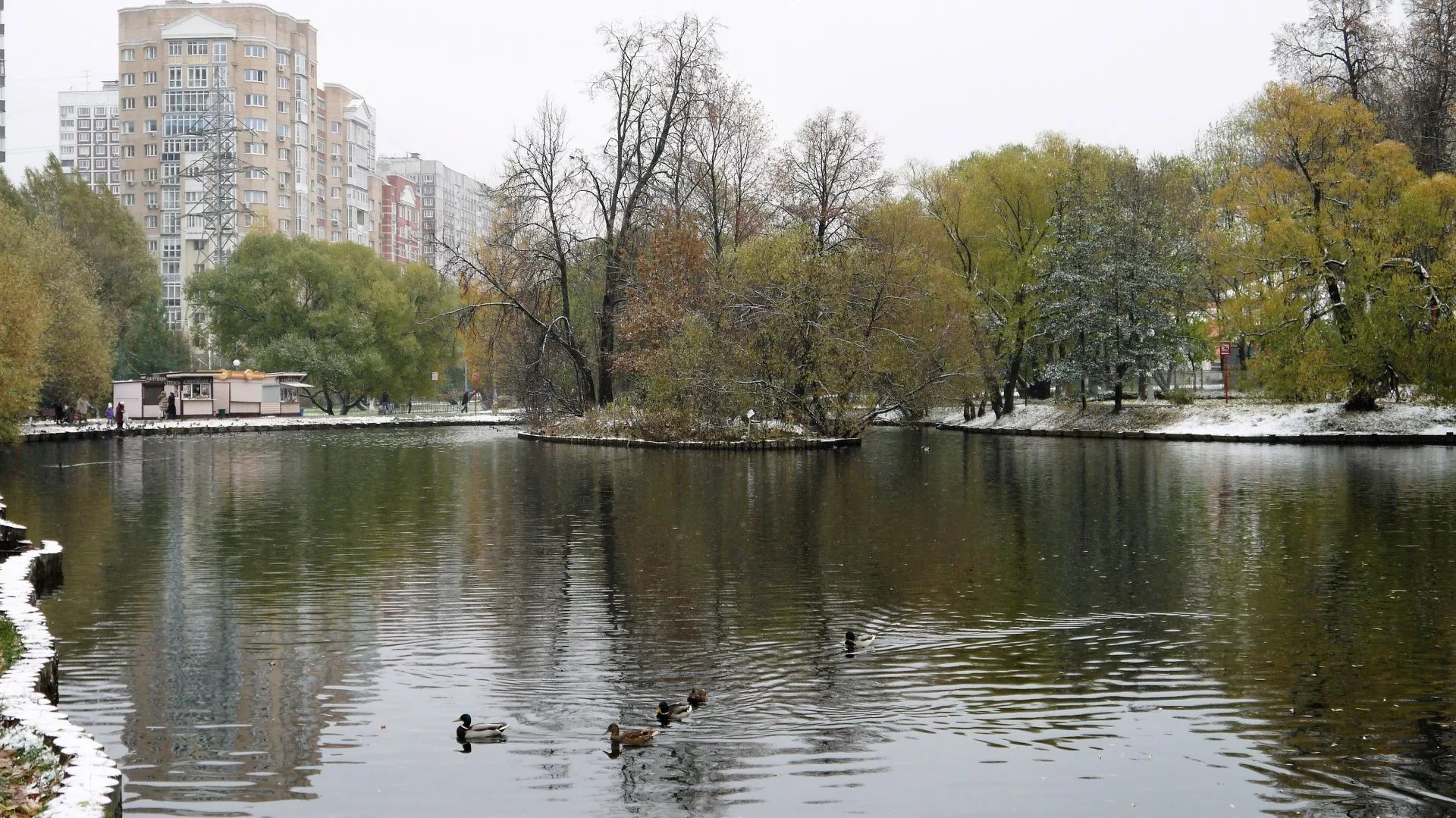 амбулаторный пруд в москве